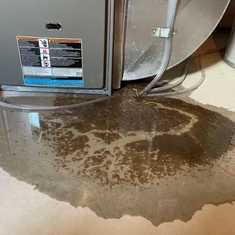 Appliance Leak Cleanup in Moline Acres, MO